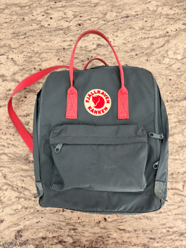 Camera Case Insert for Commercial Backpacks